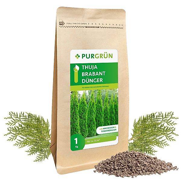 Purgrün Gartendünger Purgrün Thuja Brabant Dünger, günstig online kaufen