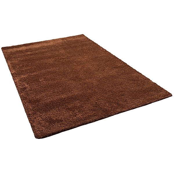 Snapstyle Hochflor Shaggy Teppich Palace Braun 100x200cm günstig online kaufen