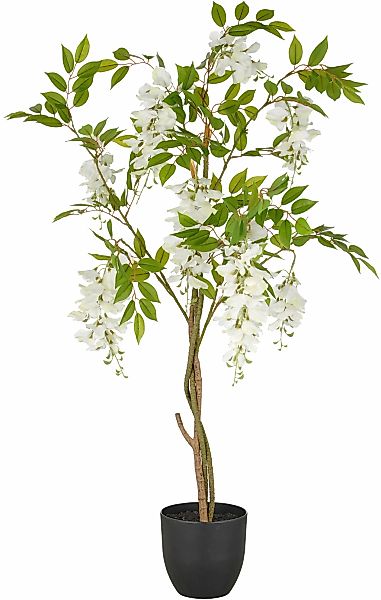 Creativ green Kunstpflanze "Wisteria", mit zahlreichen Blüten günstig online kaufen