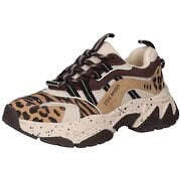Steve Madden Sneaker Damen beige günstig online kaufen
