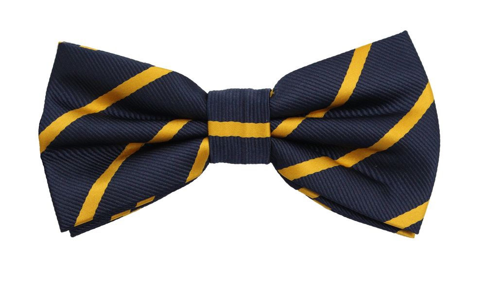 Fabio Farini Fliege Herren Fliegen mit günstig online kaufen