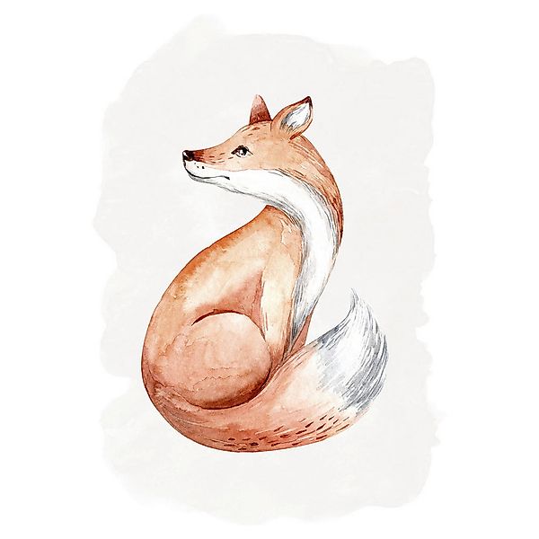 Komar Poster Curious Fox Tiere B/L: ca. 30x40 cm günstig online kaufen