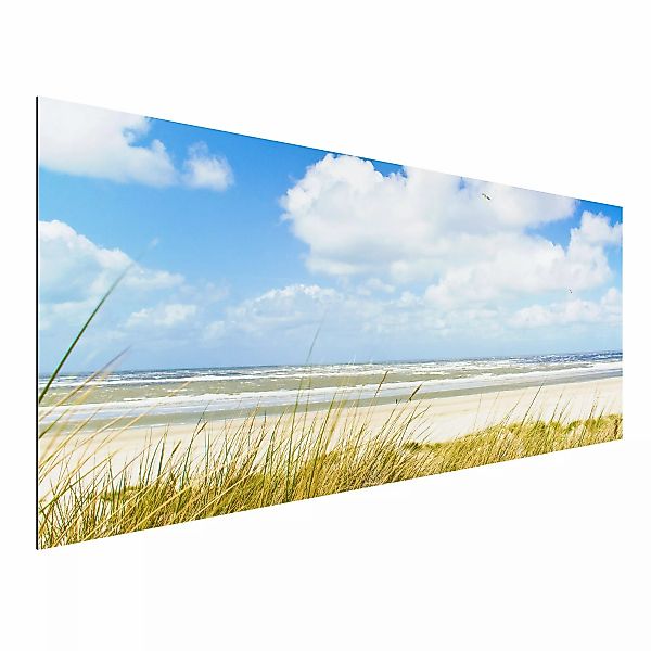 Alu-Dibond Bild - Panorama An der Nordseeküste Panorama günstig online kaufen