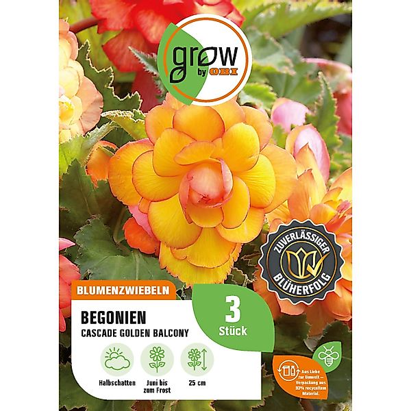 GROW by OBI Begonie Cascade Golden Balcony Höhe ca. 25 cm Begonia cascade günstig online kaufen