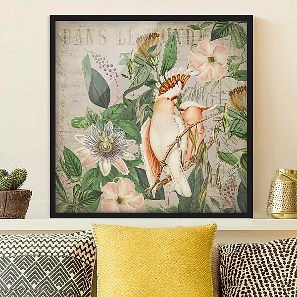 Bild mit Rahmen Tiere - Quadrat Colonial Style Collage - Rosa Kakadu günstig online kaufen