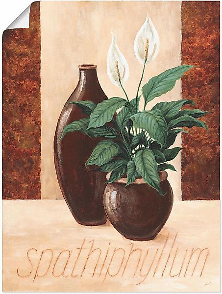 Artland Poster "Spathiphyllum - Einblatt" Pflanzenbilder 1 Stk. tlg. ohne R günstig online kaufen
