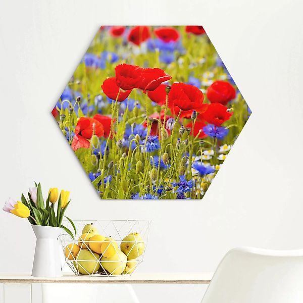Hexagon-Alu-Dibond Bild Sommerwiese mit Mohn und Kornblumen günstig online kaufen
