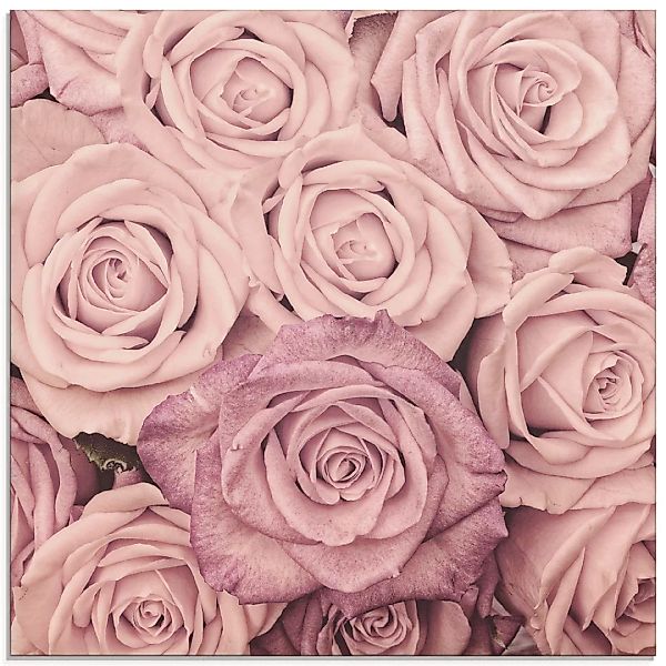 Artland Glasbild "Rosen", Blumen, (1 St.), in verschiedenen Größen günstig online kaufen