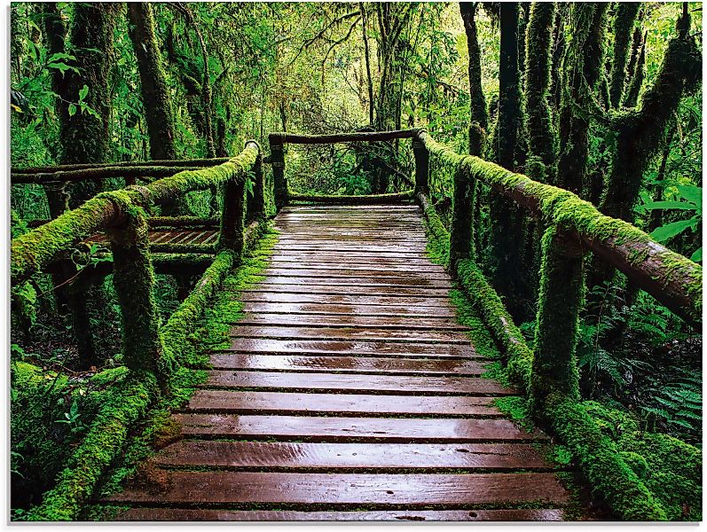 Artland Glasbild "Brückenpfad im Wald", Asien, (1 St.) günstig online kaufen