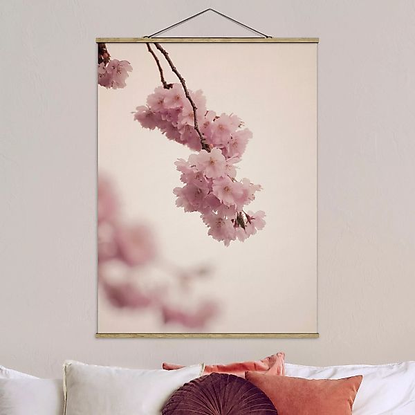 Stoffbild mit Posterleisten Zartrosane Frühlingsblüte mit Bokeh günstig online kaufen