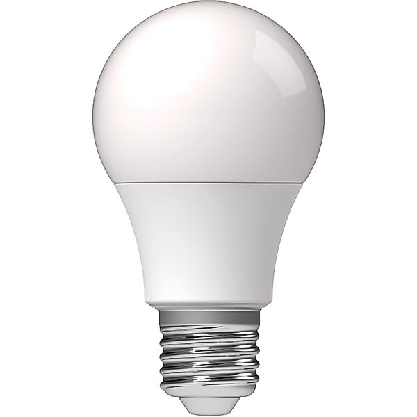 LED's light LED-Leuchtmittel 0620102 LED Glühbirne, günstig online kaufen