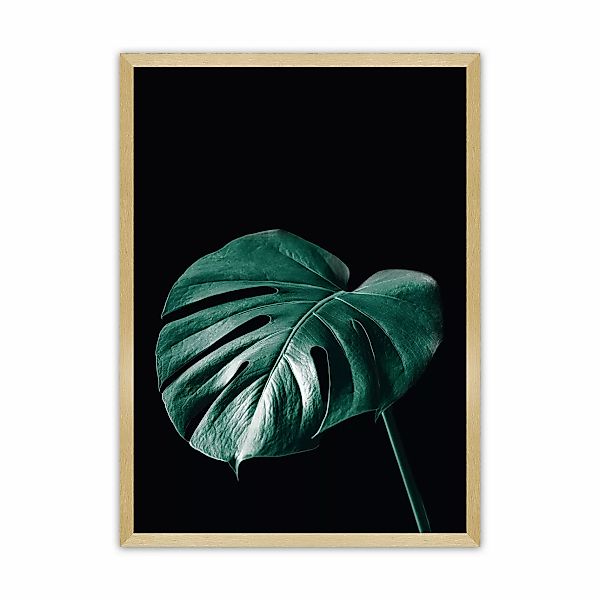 Poster Dark Monstera, 30 x 40 cm, Rahmen wählen: gold günstig online kaufen