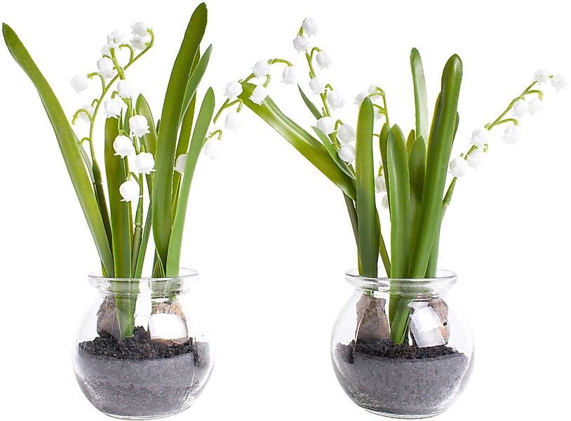 Kunstblume Maiglöckchen im Glas, Botanic-Haus, Höhe günstig online kaufen