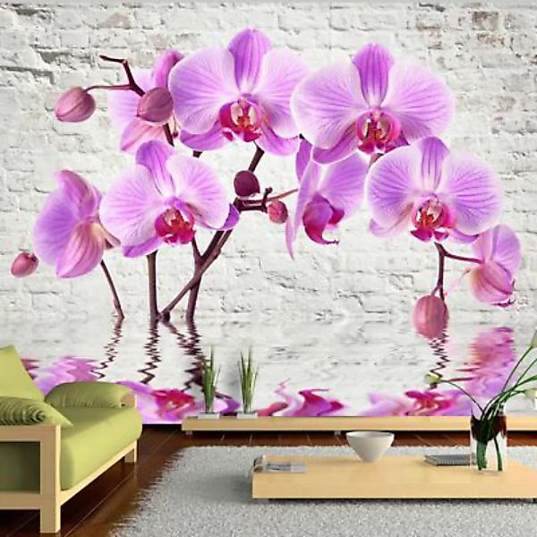 artgeist Fototapete Purple Delight mehrfarbig Gr. 350 x 245 günstig online kaufen