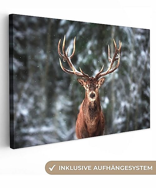 OneMillionCanvasses® Leinwandbild Rotwild - Winter - Schnee - Wald - Natur günstig online kaufen