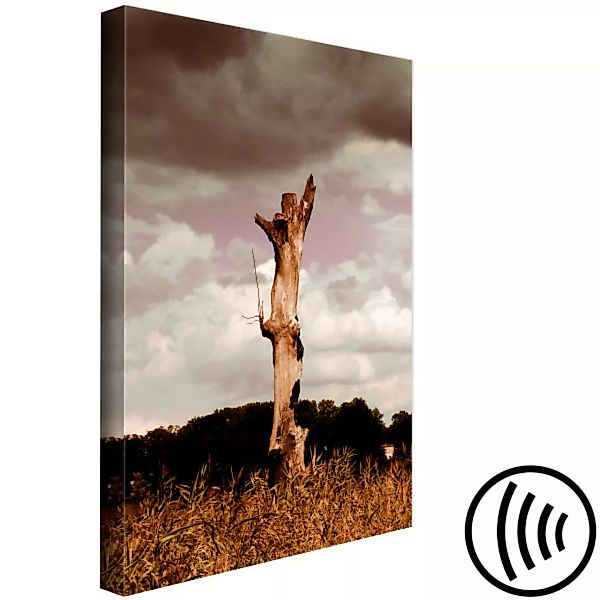 Bild auf Leinwand Vertrockneter Baumstamm - Naturfoto auf dem Hintergrund e günstig online kaufen