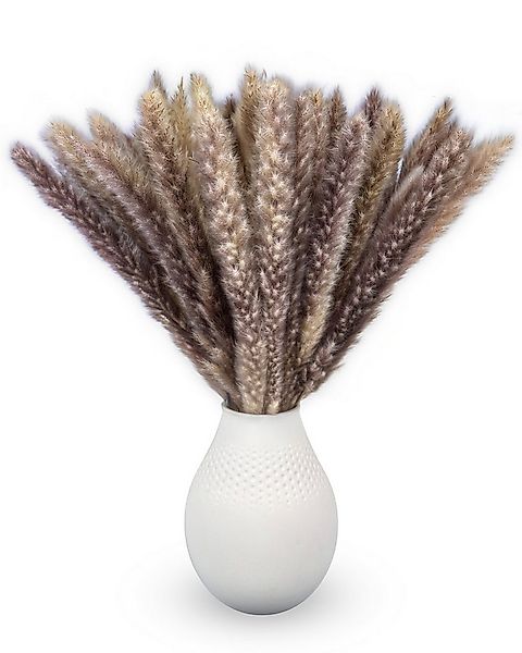 Trockenblume Pampasgras Deko braun 65-70cm lang Trockenblumen groß Blumen, günstig online kaufen