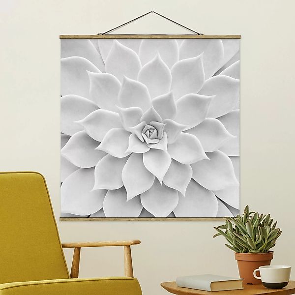 Stoffbild Blumen mit Posterleisten - Quadrat Kaktus Sukkulente günstig online kaufen