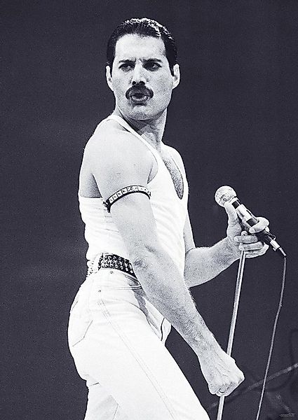 Close Up Poster Queen Poster Freddie Mercury 59,5 x 84 cm günstig online kaufen
