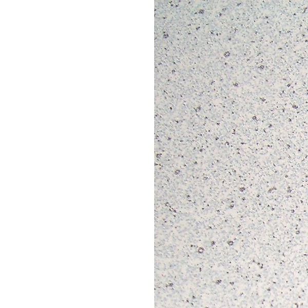 Flex-Well Unterschrank "Wito", (B x H x T) 100 x 85/86 x 60 cm, für viel St günstig online kaufen