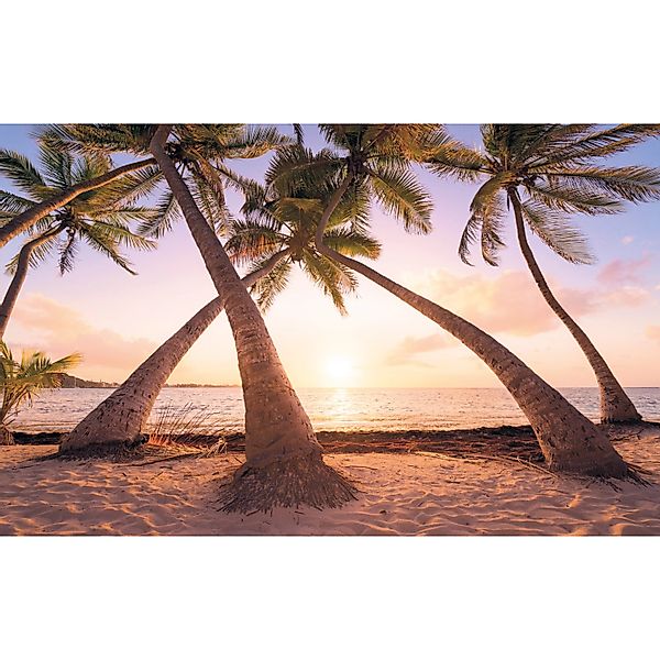 Komar Fototapete Vlies Reaching the Sun  400 x 250 cm günstig online kaufen