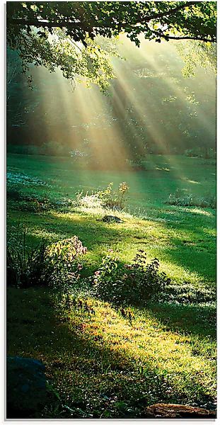 Artland Glasbild »Lichtkegel« Wald 1 Stk. tlg. in verschiedenen Größen günstig online kaufen