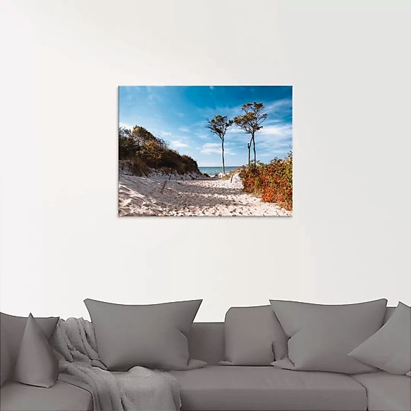 Artland Glasbild "Weststrand Darss", Strand, (1 St.), in verschiedenen Größ günstig online kaufen