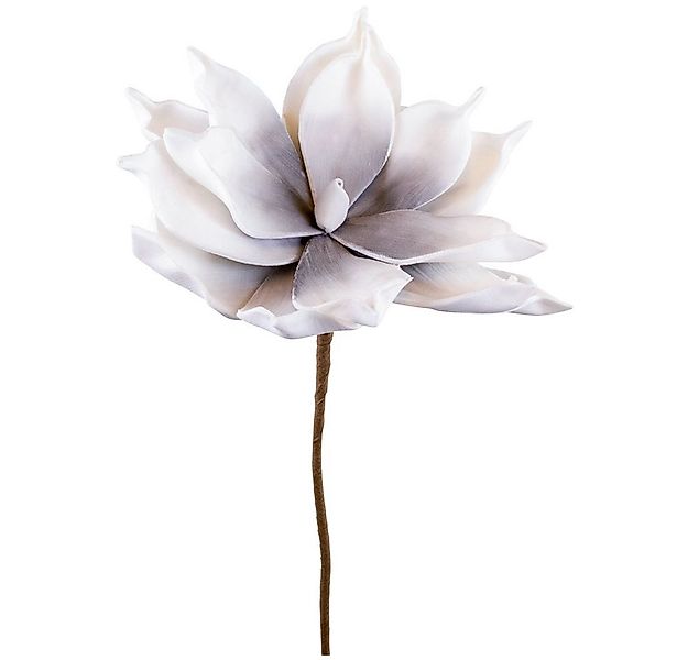 Kunstblume Kunstblumen Magnolie grau weiß Pflanzen Deko Ø 12x65 Magnolie, m günstig online kaufen