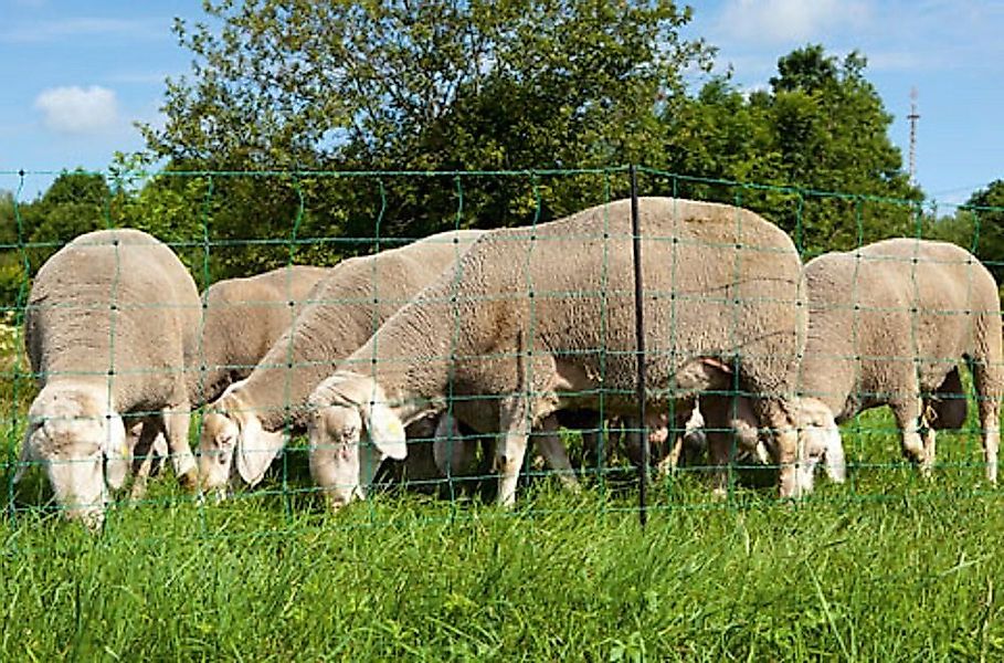 Kerbl Weidenzaun Kerbl 27266, (14 Pfähle) günstig online kaufen
