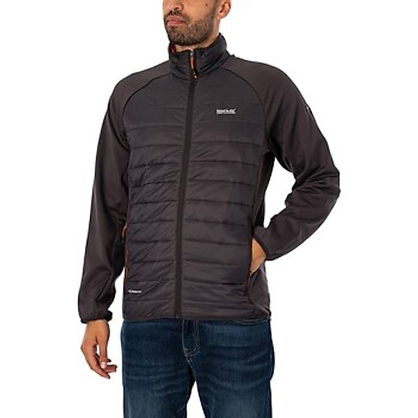 Regatta  Jacken Clumber Hybrid Jacke günstig online kaufen