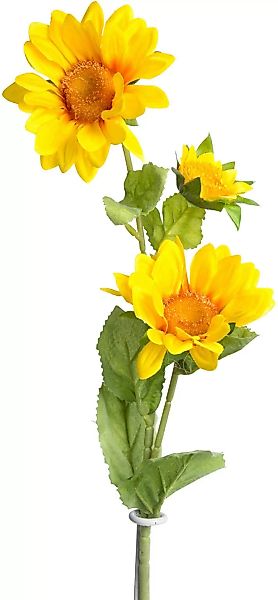 Botanic-Haus Kunstblume "Sonnenblume mit 2 Stielen" günstig online kaufen