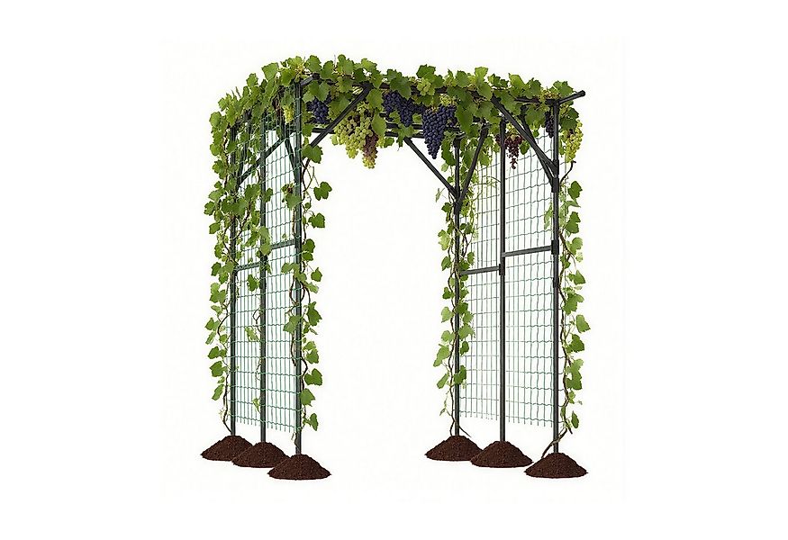 COSTWAY Rosenbogen, 1 St., Rankhilfe, Spalier, für Kletterpflanzen, 200x150 günstig online kaufen