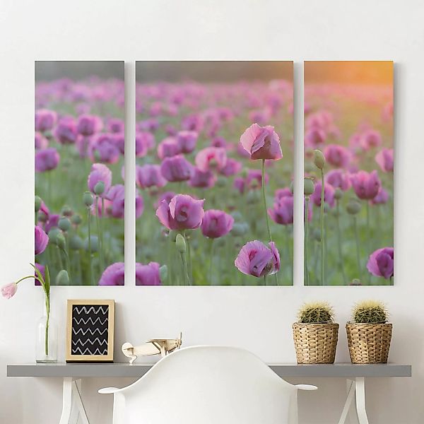 3-teiliges Leinwandbild - Querformat Violette Schlafmohn Blumenwiese im Frü günstig online kaufen