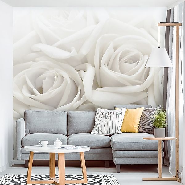 Bilderdepot24 Fototapete Rosen Weiße Rosen 3D-Effekt günstig online kaufen