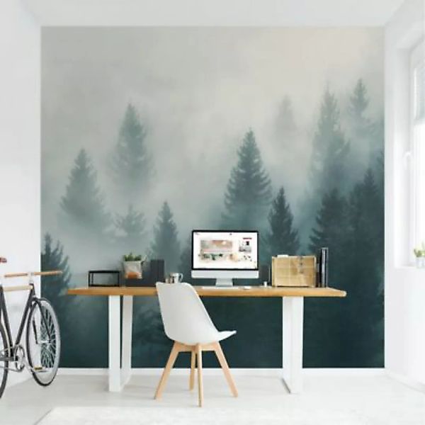 Bilderwelten Vliestapete Nadelwald im Nebel grün Gr. 336 x 225 günstig online kaufen