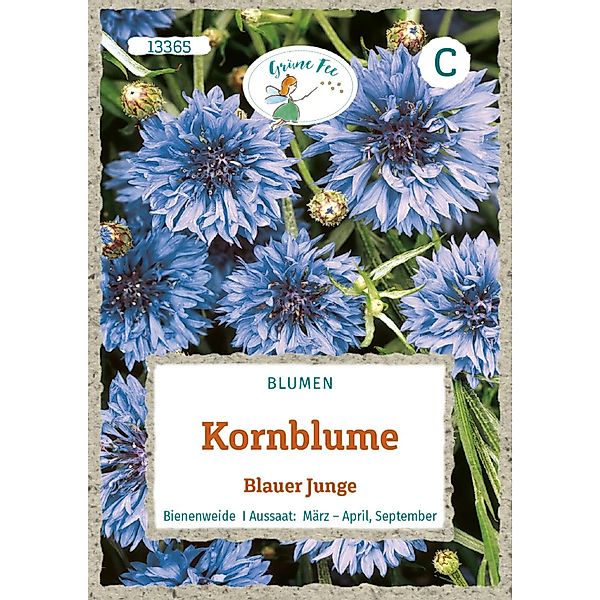 Grüne Fee Kornblume Blauer Junge Saatgut günstig online kaufen