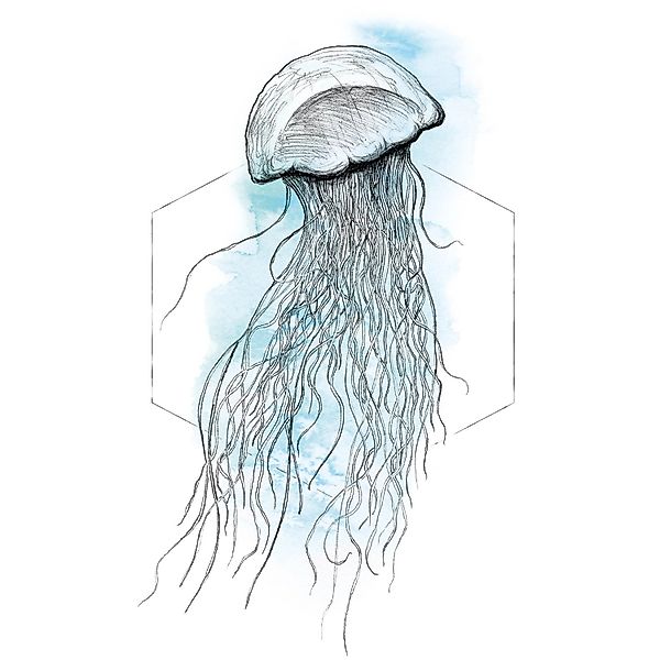 Komar Wandbild Jellyfish Watercolor 40 x 50 cm günstig online kaufen