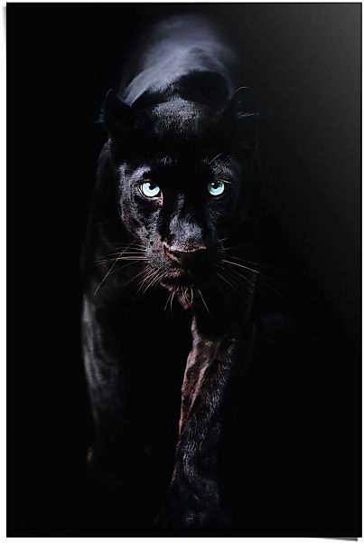Reinders Poster "Poster Schwarzer Panther" Tiere 1 Stk. tlg. günstig online kaufen