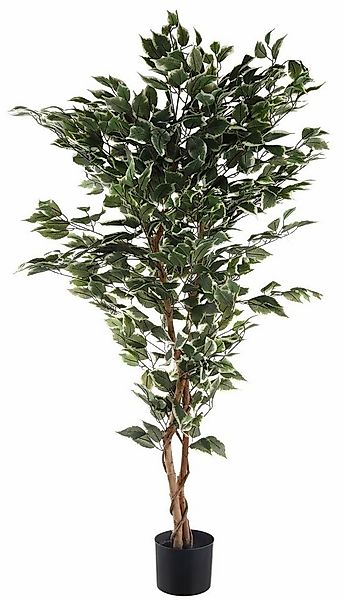Kunstpflanze Ficus Benjamini Ficus Benjamini, Creativ green, Höhe 150 cm günstig online kaufen