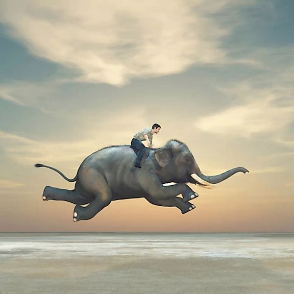 Papermoon Fototapete »Mann auf Elefant« günstig online kaufen