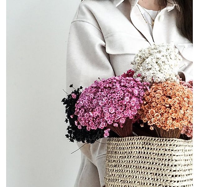 Trockenblume Glixia in Vielfalt: Farbenprächtige Trockenblumen für ein krea günstig online kaufen