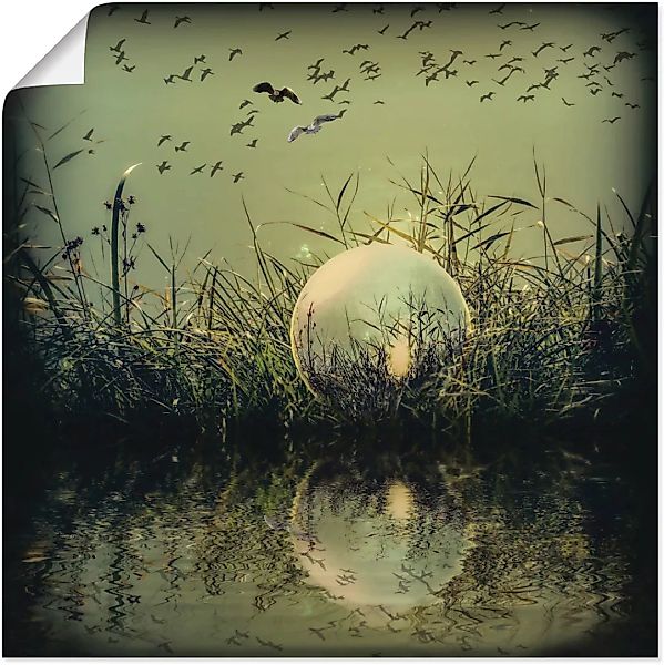 Artland Wandbild "In der Glaskugel - Mystische Au", Landschaften, (1 St.), günstig online kaufen