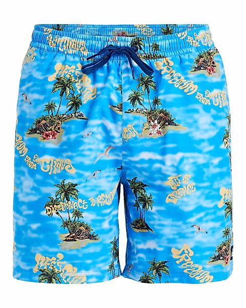 Quiksilver Boardshorts "Everyday Straight Volley 17"" günstig online kaufen