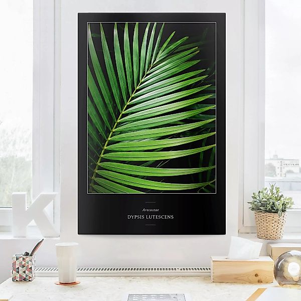 Leinwandbild Botanik - Hochformat Tropisches Palmblatt günstig online kaufen