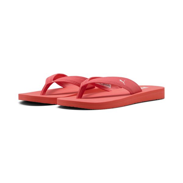 PUMA Sandy Flip-Flops Damen Sandale günstig online kaufen