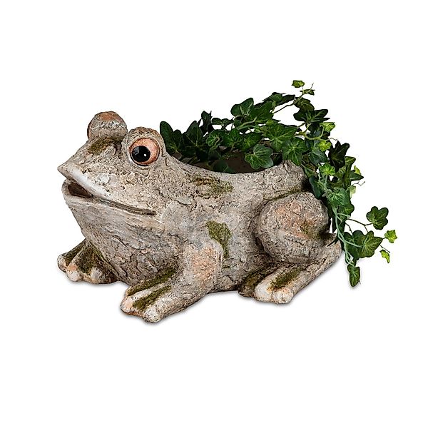 formano Pflanzkübel Pflanzgefäß Steinoptik Frosch (Stück, günstig online kaufen
