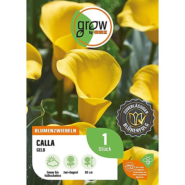 GROW by OBI Calla Zantedeschia Gelb Höhe ca. 60 cm günstig online kaufen