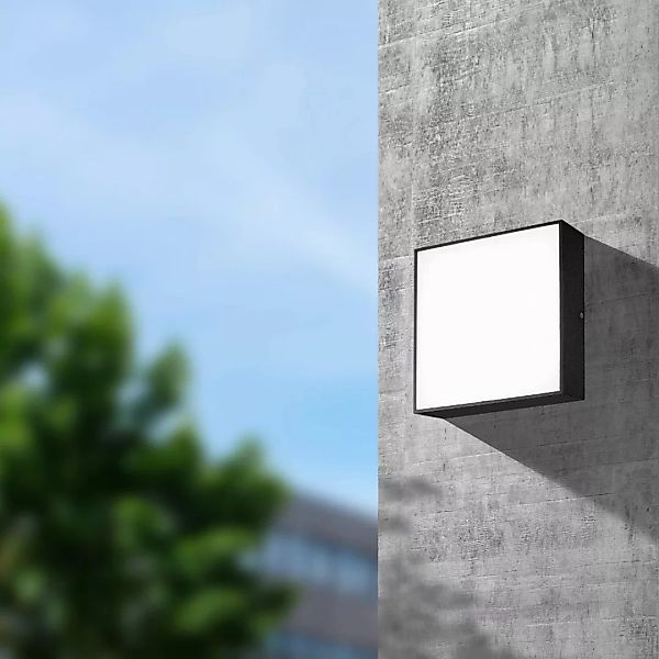 LED Wand- und Deckenleuchte in Anthrazit 10W 898lm IP54 240x240mm günstig online kaufen