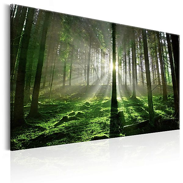 Wandbild - Emerald Forest II günstig online kaufen