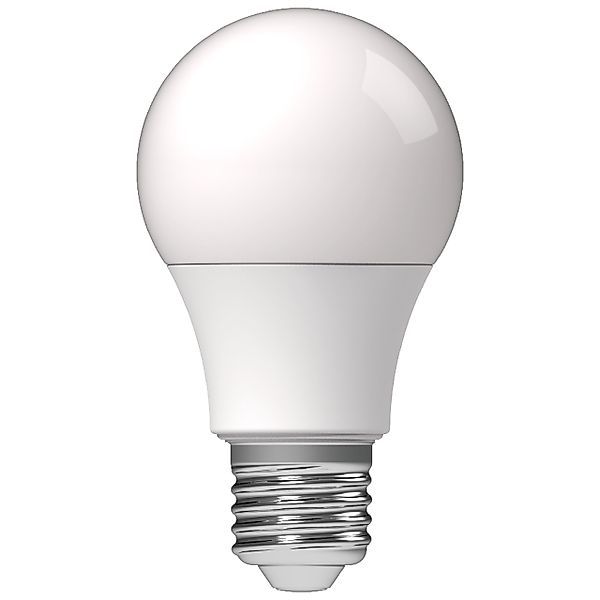 proventa LED-Leuchtmittel LED Glühbirne, E27, E27 günstig online kaufen